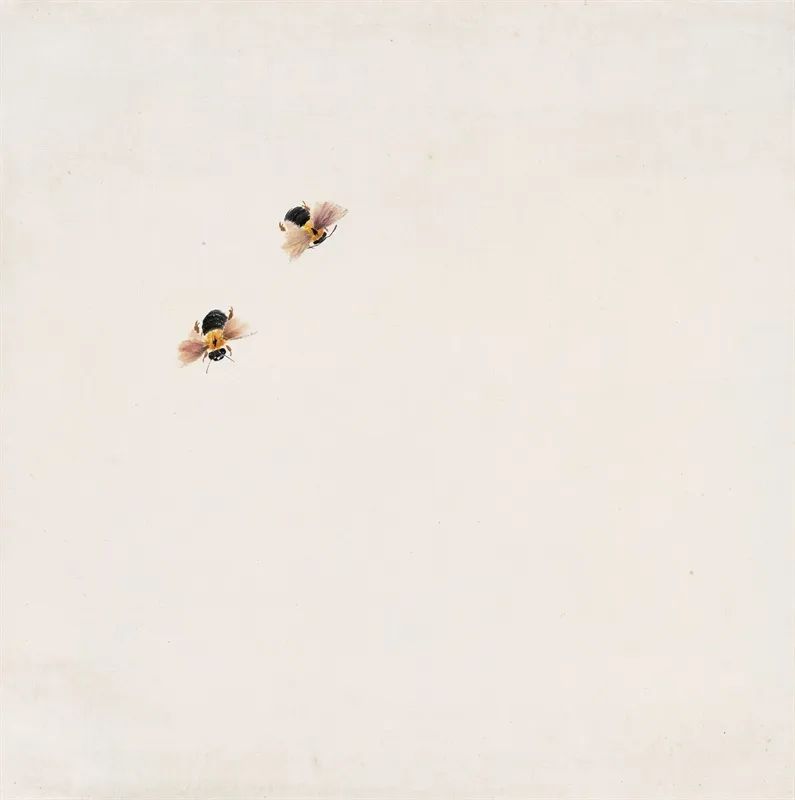 齐白石 可惜无声 湃客 澎湃新闻 The Paper