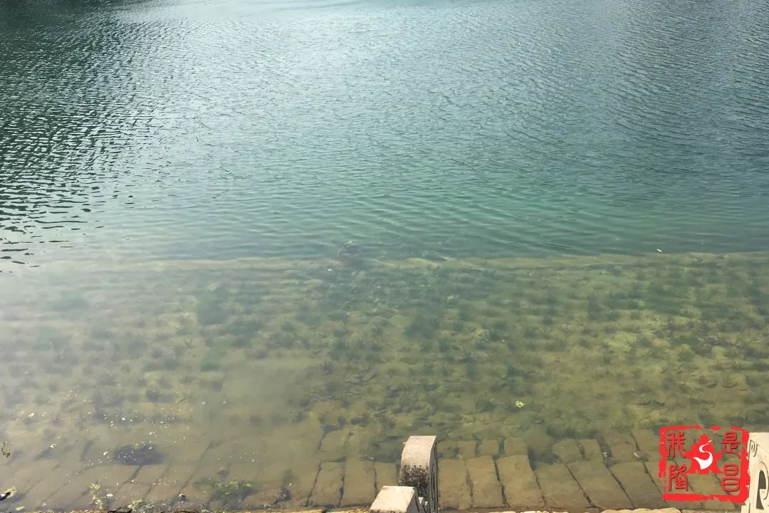水库人口_死水库福利图片