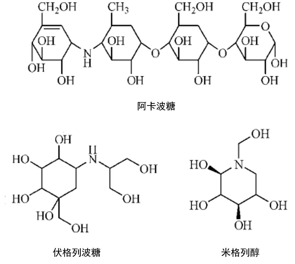 乙酰氨基葡萄糖甘酶图片