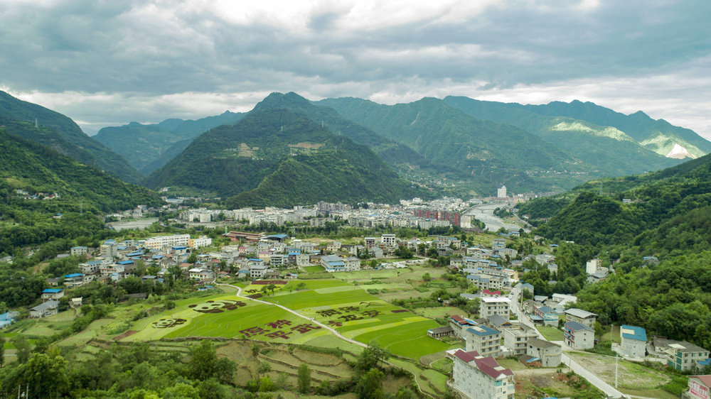 近日,四川省绵阳市平武县龙安镇枕流村出现了近50亩彩色水稻大地景观
