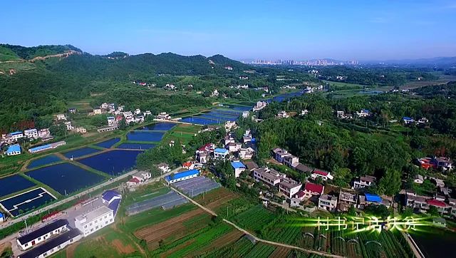 村书记话扶贫张治国干中求助翻开闫河村发展的新篇章