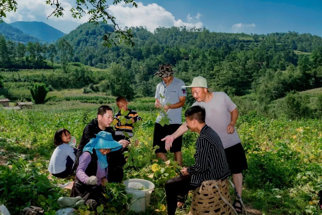 脱贫攻坚第一书记杨永胜用坚守让党徽在大凉山里闪耀