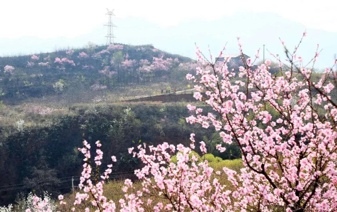 汝阳丁建胜图片图片