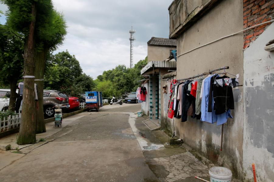 北仑大路村街女图片