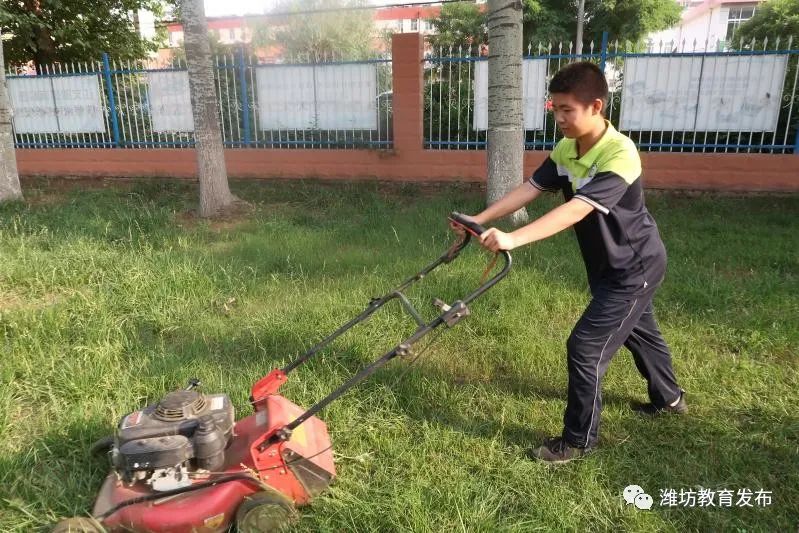 典型优质经验服务方案_优质服务中的先进经验_优质服务典型经验