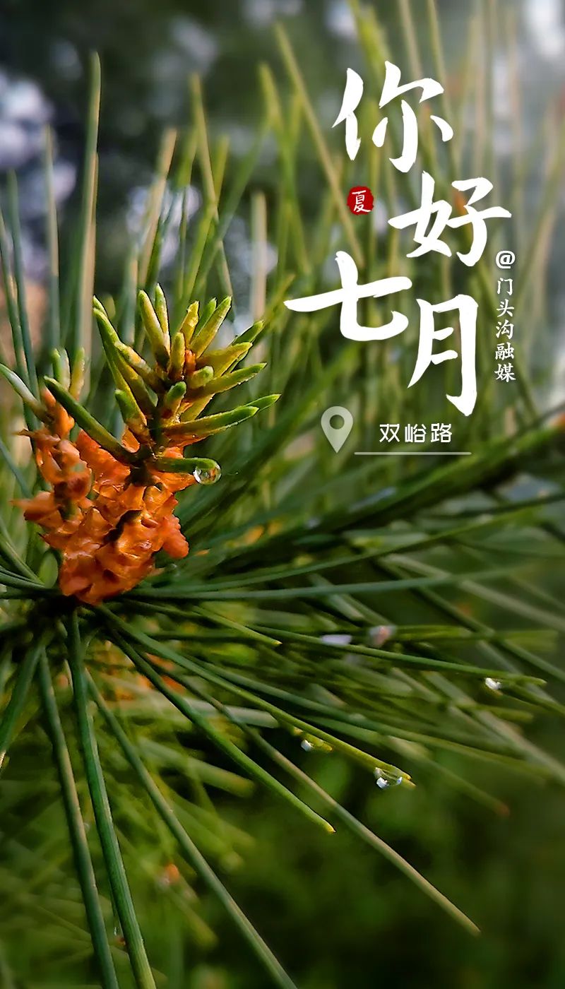 美好如期而至仲夏来临,年已过半一切随顺知足常乐七月金榜题名旗开得