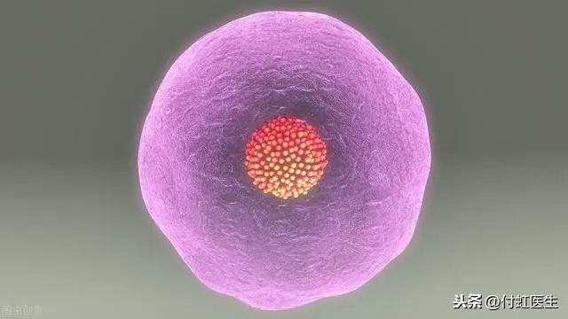 月经不来吃什么药调理 897.jpg