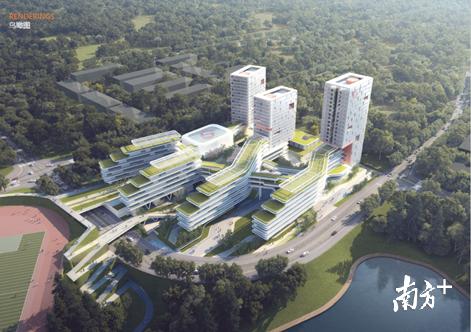 深圳哪所高中足球好,深圳哪所高中足球好一点