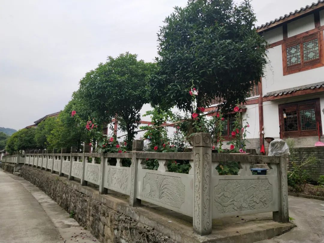 通江空山昔日红色战场今日候鸟天堂