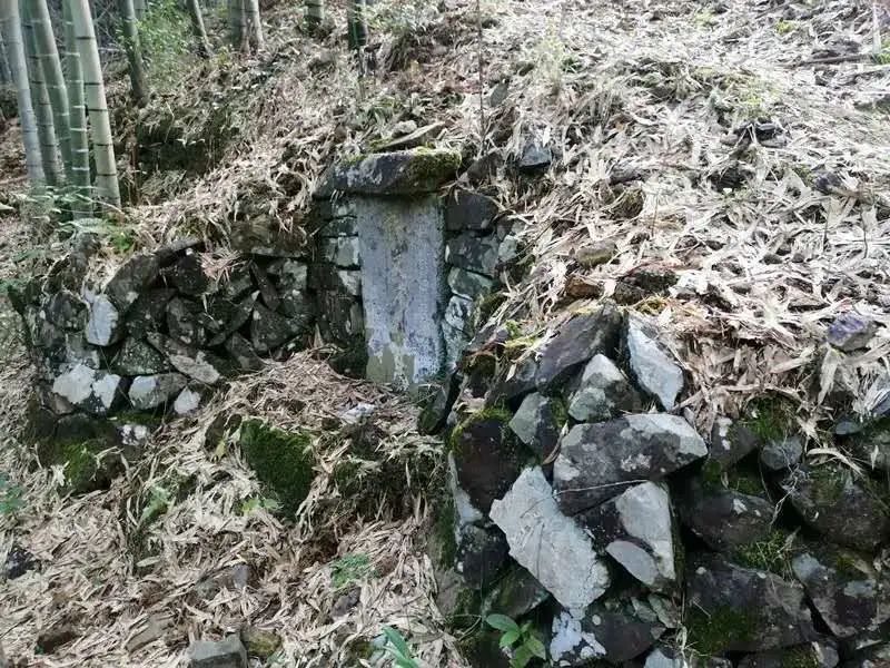 红军墓背后的故事