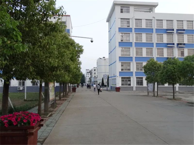 经评选专家组论证,长丰县实验高级中学三年的创建工作扎实有效,不断