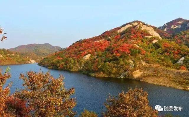 随县有多少人口_随县一中图片