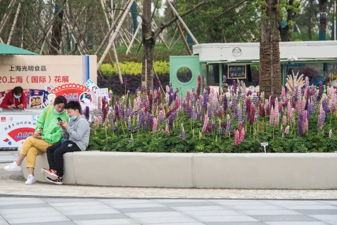 摄影比赛一组照片一般多少张 919.jpg