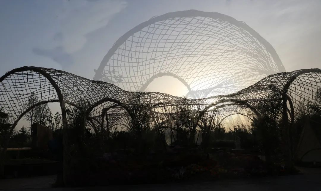 摄影比赛一组照片一般多少张 4.jpg