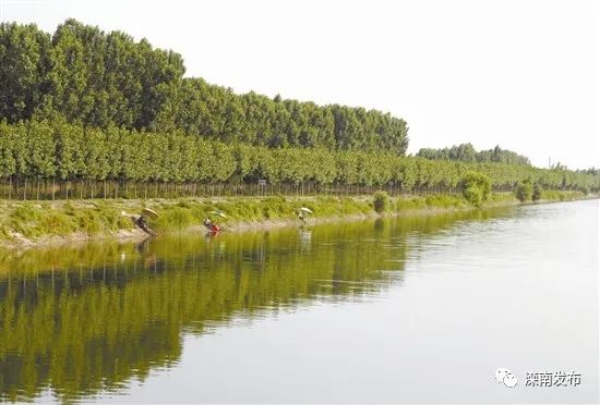 七月,漫步在灤南縣東黃坨鎮崔二村的鄉間小路上,只覺空氣清新,花香