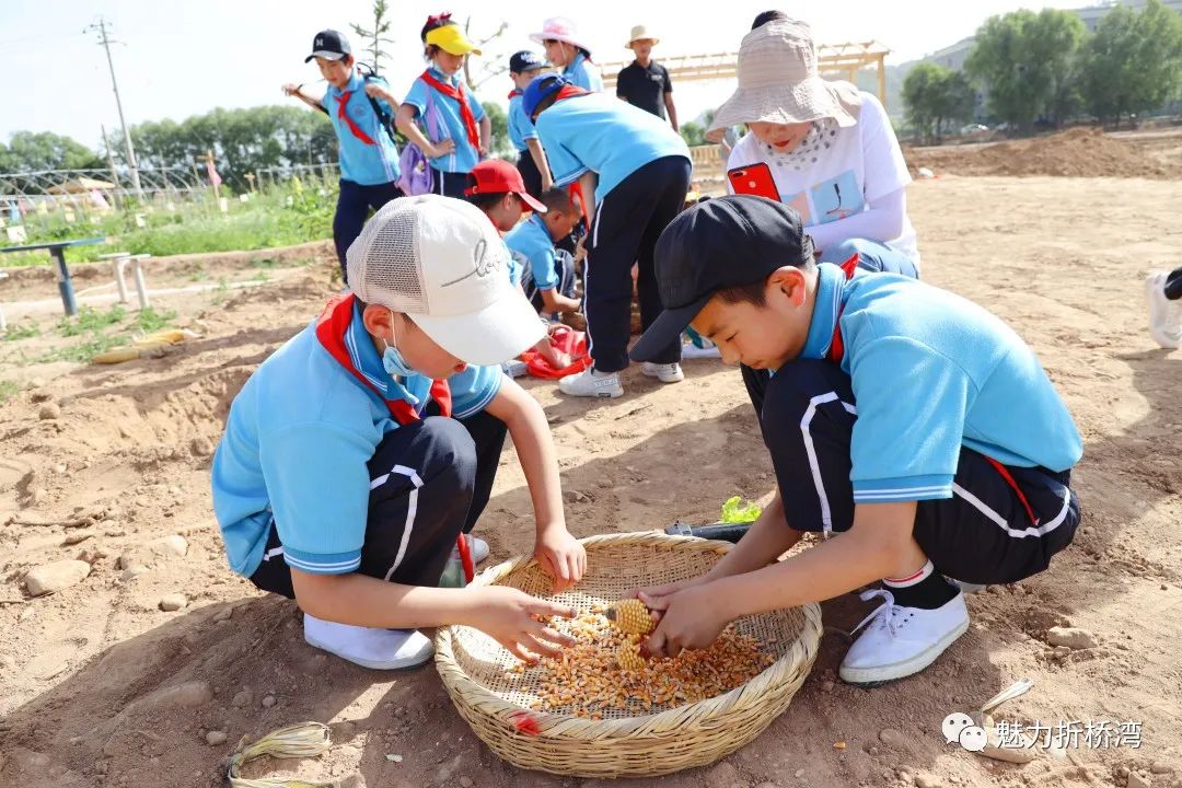 农庄研学游丨临夏市新华小学学生变身庄稼汉所有中小学生慈王农庄成