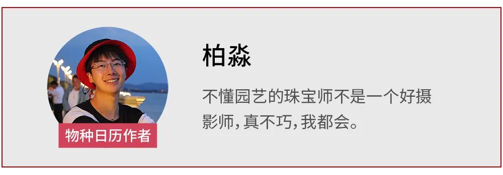 “君子之花”处境艰难，但也有这个幸运儿