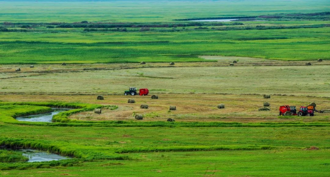 在那辽阔的土地上