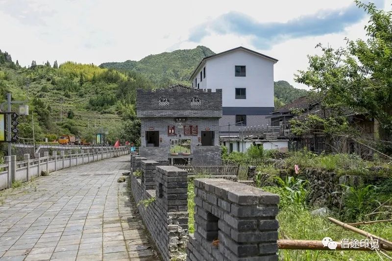 丽水乡村纪行|梅岐村,大山深处的"石斛小镇"