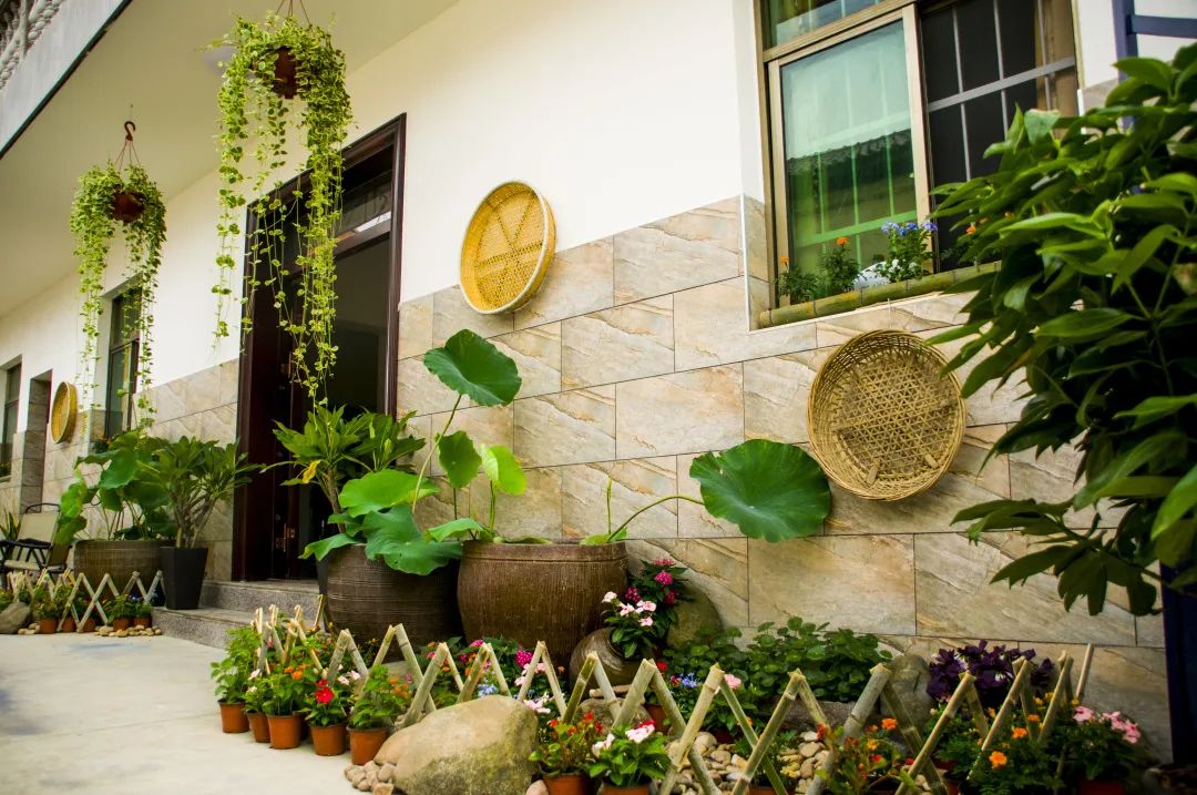 榜上有名金东4户庭院获浙江省最美庭院称号四