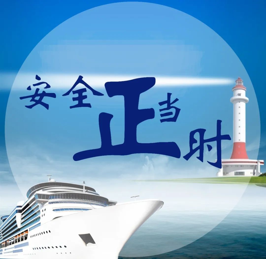 船舶,港口和设施的安全,由国家专业引航人员引领船舶安全航行的行为