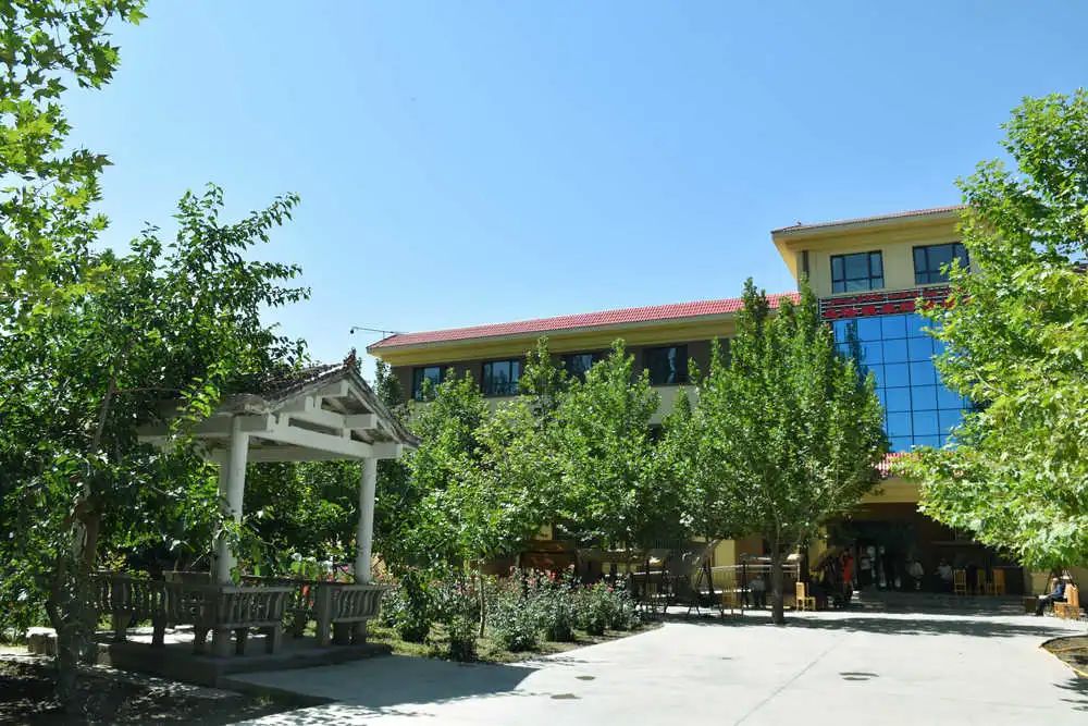 幸福大院话幸福南疆基层幸福大院见闻