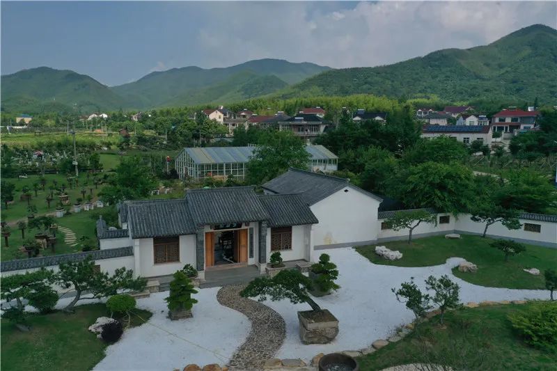 扎根江南红村他用热爱唤醒这个沉睡产业