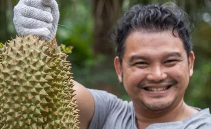 澎湃新闻 专注时政与思想 thepaper.cn