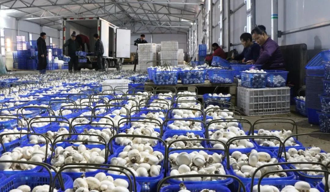 扎鲁特旗人口多少人口_扎鲁特旗各局局长照片(2)