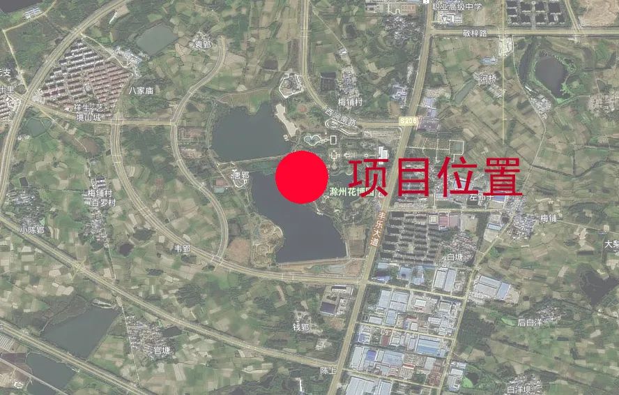 961.jpg