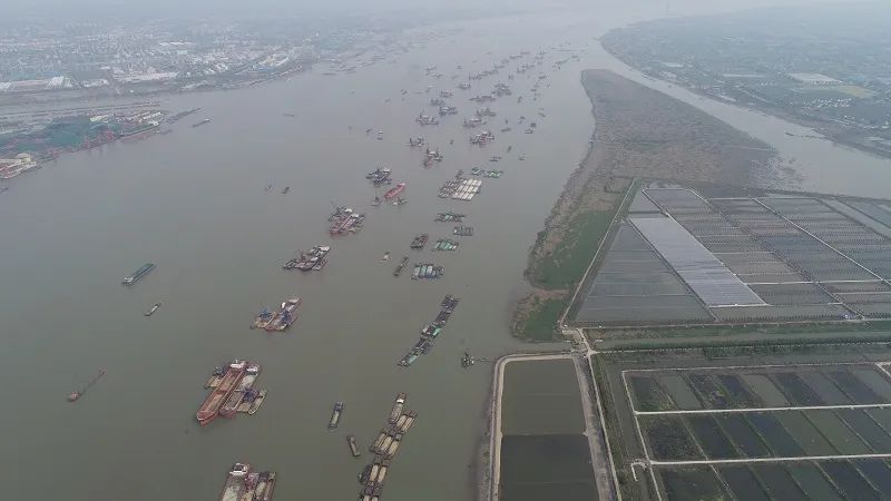 長江中下游監利以下江段全線超警 暴雨橙色預警持續鳴響 汛期航行請注