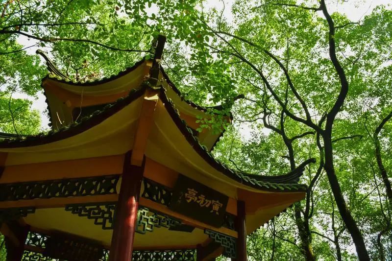 2020重庆高校保研率_重庆最好的五所大学,两所适合“捡漏”,还有一所是(2)