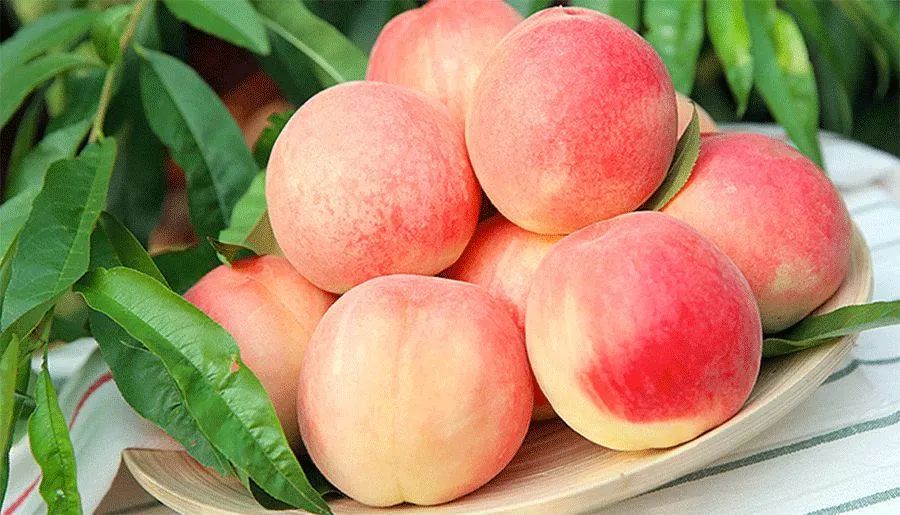 上海桃鑫果蔬专业合作社水蜜桃庙镇小竖村江民公路小星公路路口蔡永平