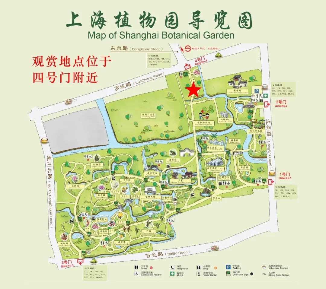 上海植物园导游图图片