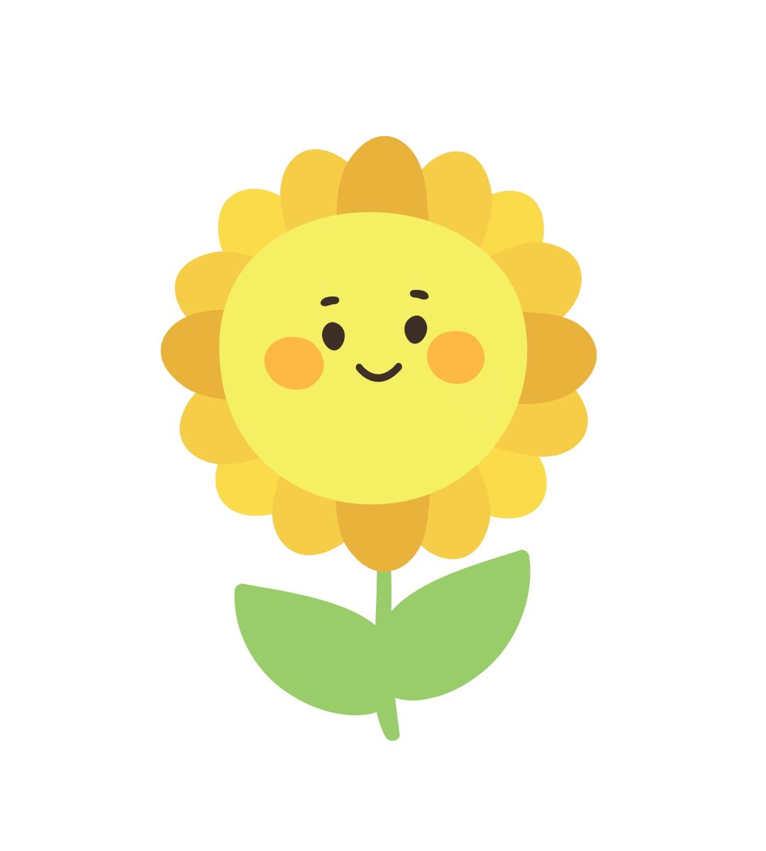 新品种向日葵栽培后,快来看看它们开得怎么样了