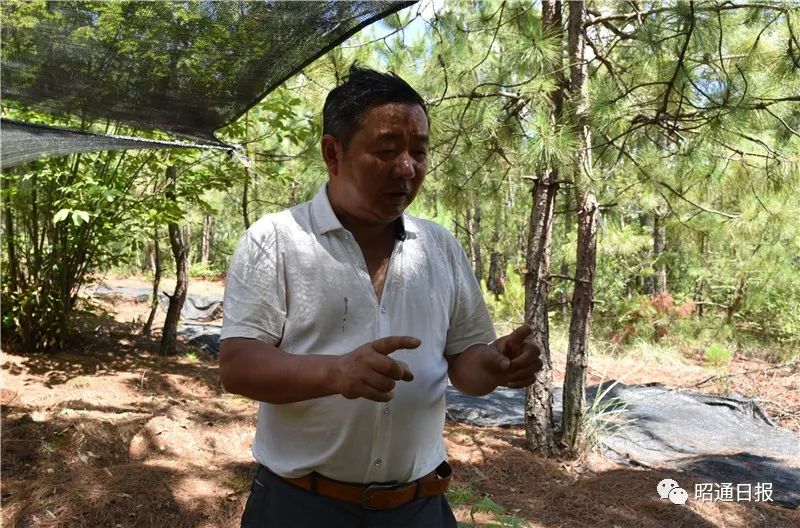 办事公道喜欢为群众琢磨点道道巧家老店督导员曹安江