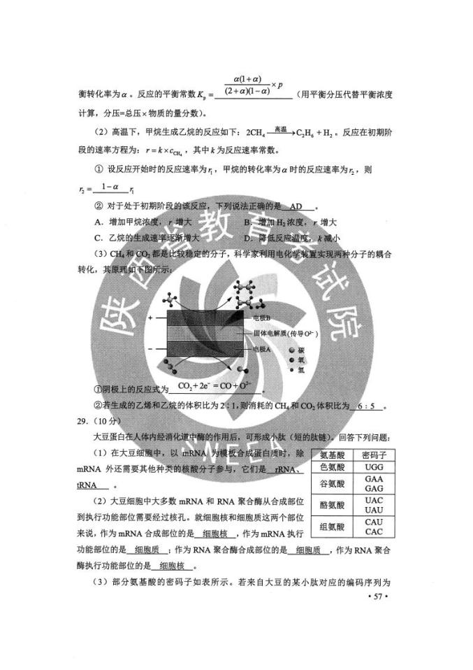 12月3日全国真的解封吗