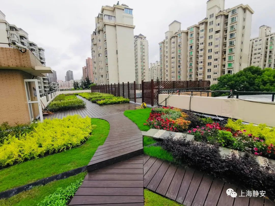 黄梅天里他们这样确保屋顶绿化不积水