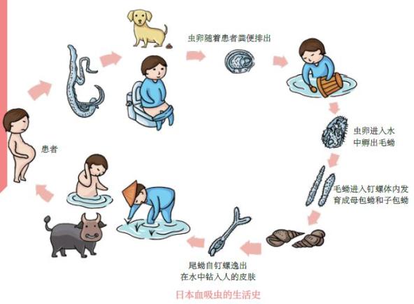 什么方法除病灾 449.jpg