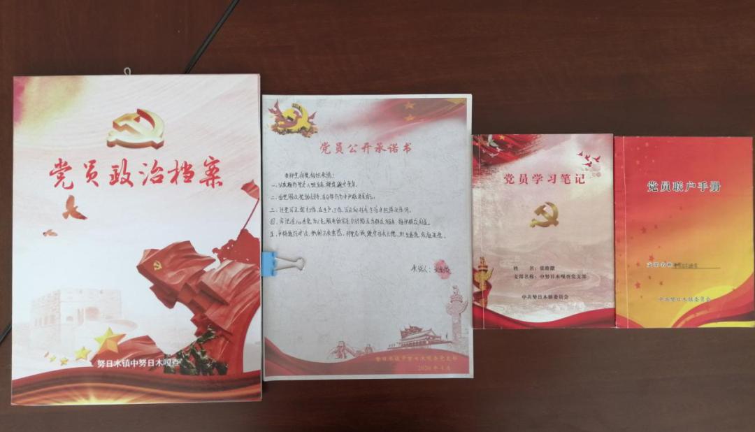 坚持"一人一档"原则,明确各嘎查村党支部书记为第一责任人,党支部为