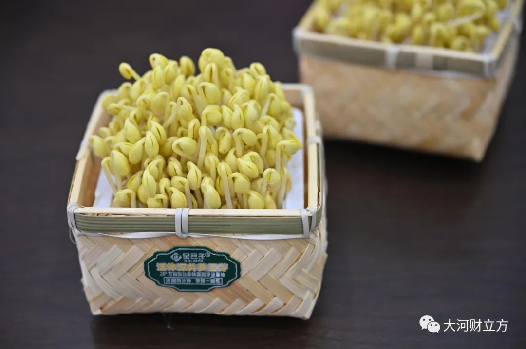 "很多豆芽企业是没有销售人员的,金豆子却不一样,一开始我们就很重视