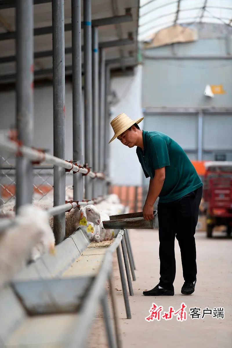 山村绽放新希望——布楞沟村铆足干劲蹚出脱贫新路纪实