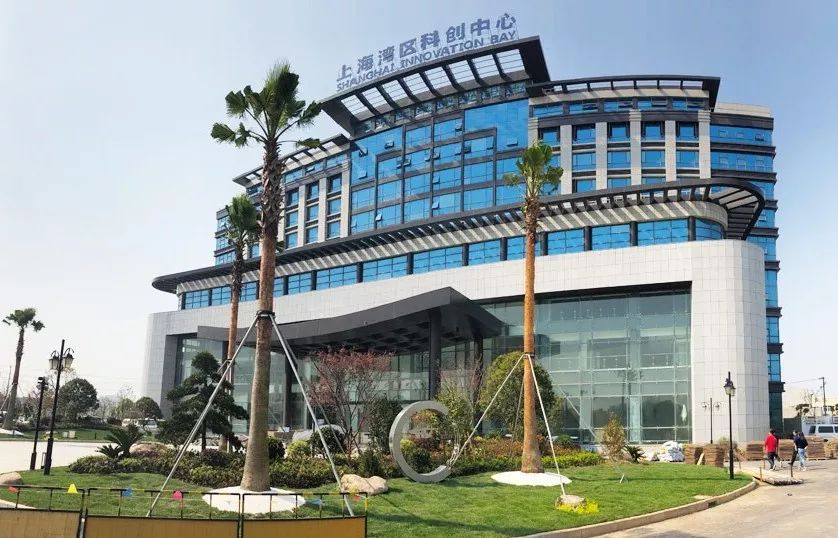 成效明显未来金山将集中力量办好这件大事