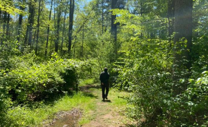 澎湃新闻 专注时政与思想 thepaper.cn