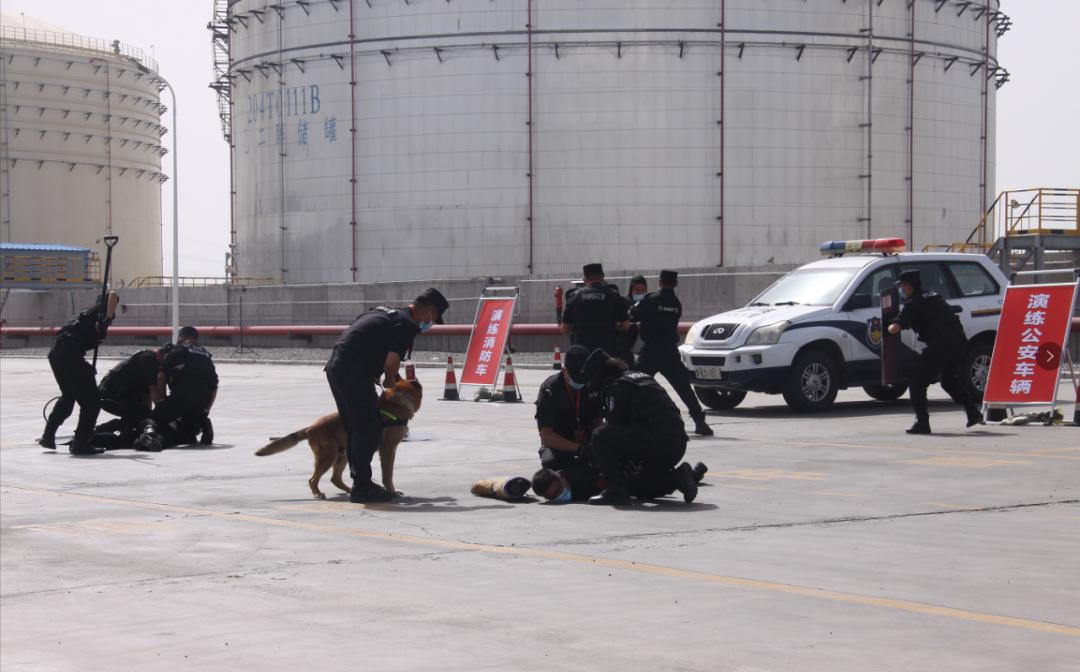 达拉特旗gdp_达拉特旗第三次全国经济普查(3)