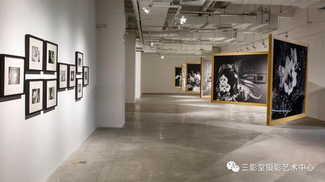 无界艺术周展览作品征集三影堂厦门