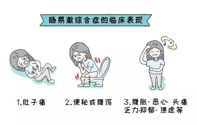 爱激动的肠子肠易激综合征