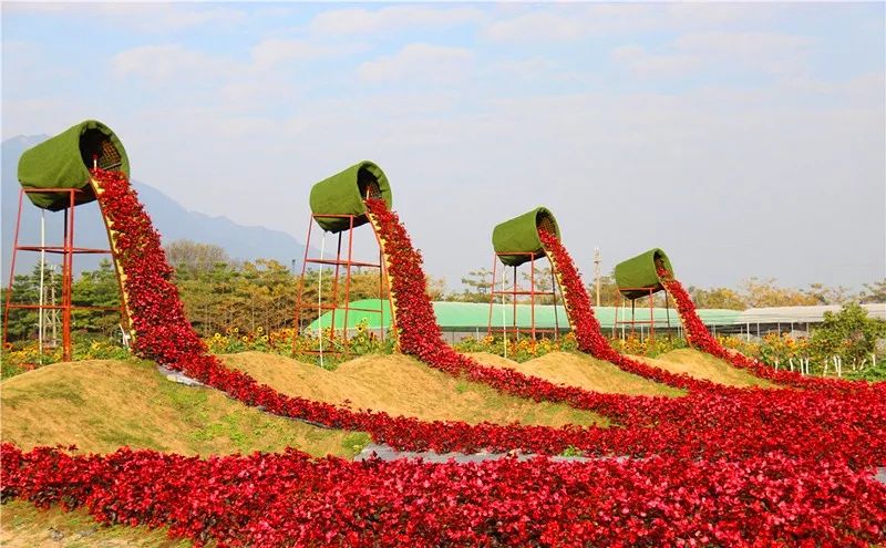 你想看的花都开啦清远7月赏花指南