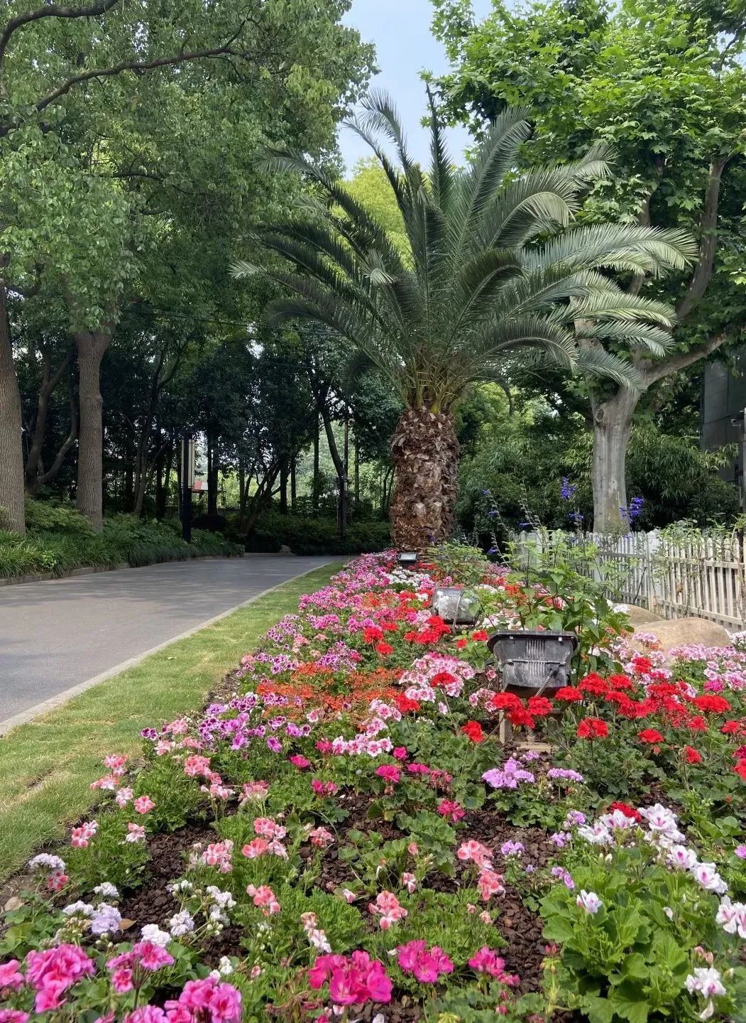 打卡普陀人家门口的五星级花园,这6个"镜头"千万别错过