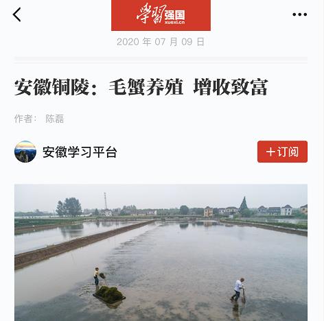 2020年7月份安徽省合_安徽省政区图2020年